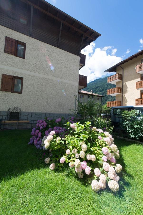Residence Alpen Casavacanze ピンツォーロ エクステリア 写真